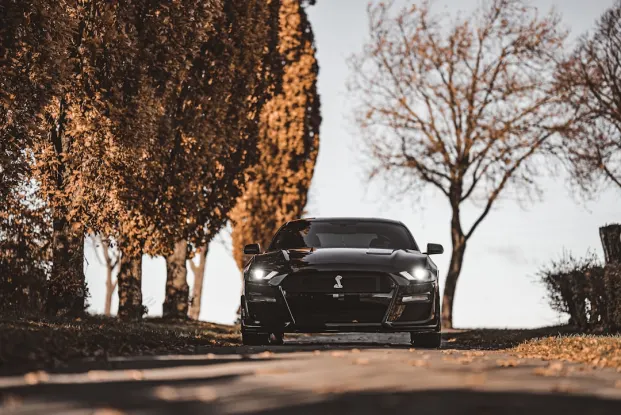 HippoZino Casino Aplicación Android/iOS